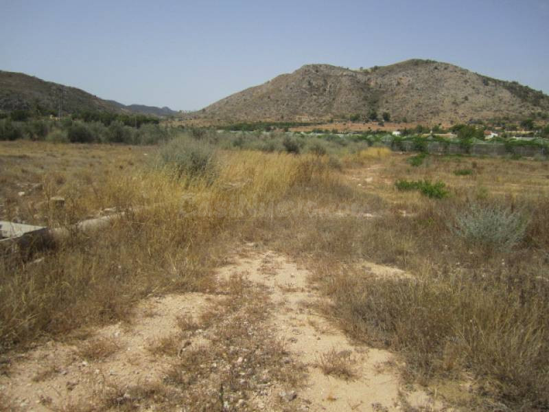 SE VENDE TERRENO EN ASPE - foto 5