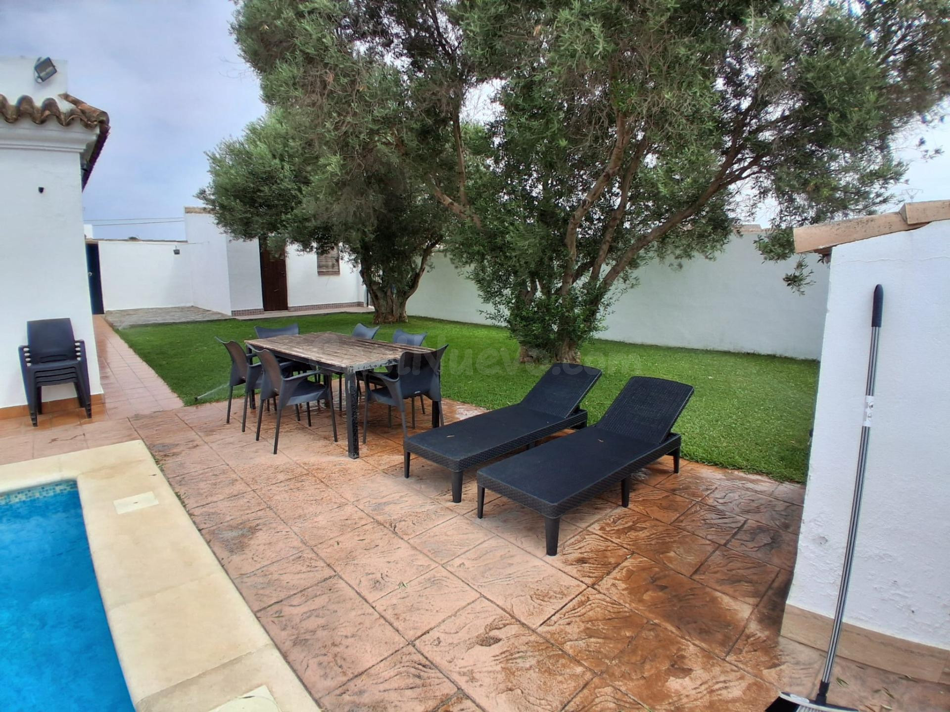 CHALET EN EL COLORADO (CONIL): PISCINA, LICENCIA TURÍSTICA Y - foto 3