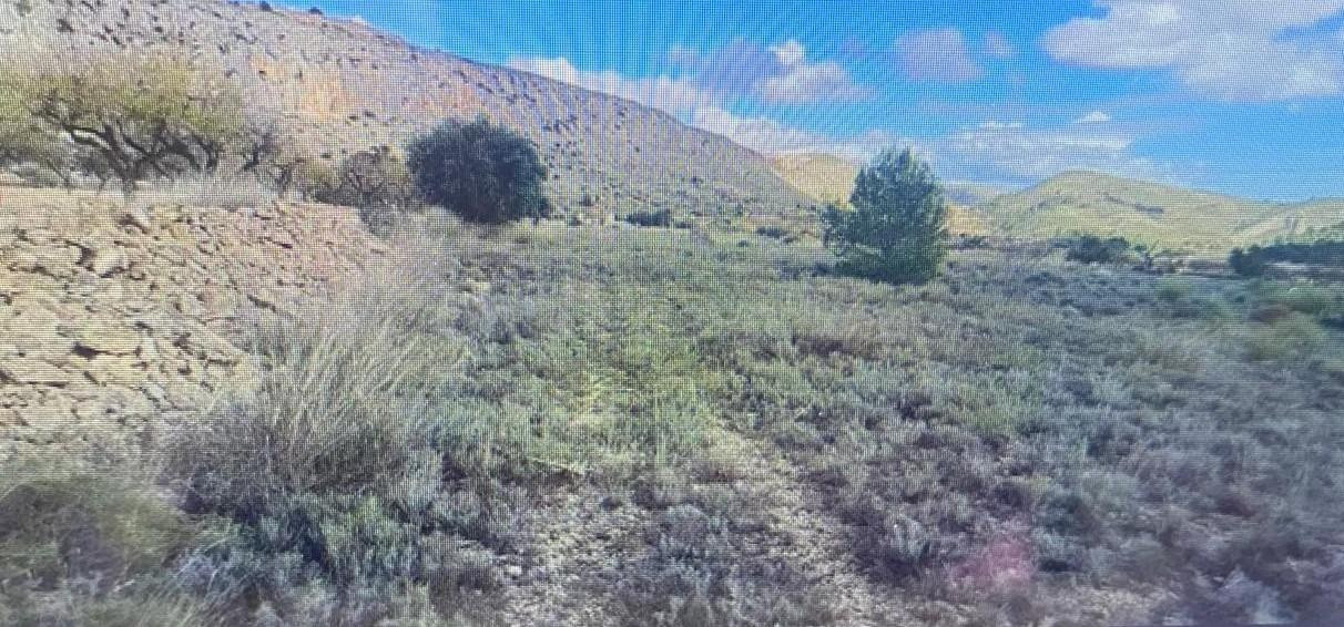 SE VENDE TERRENO RÚSTICO EN LA ROMANA – ZONA LA SOLANA