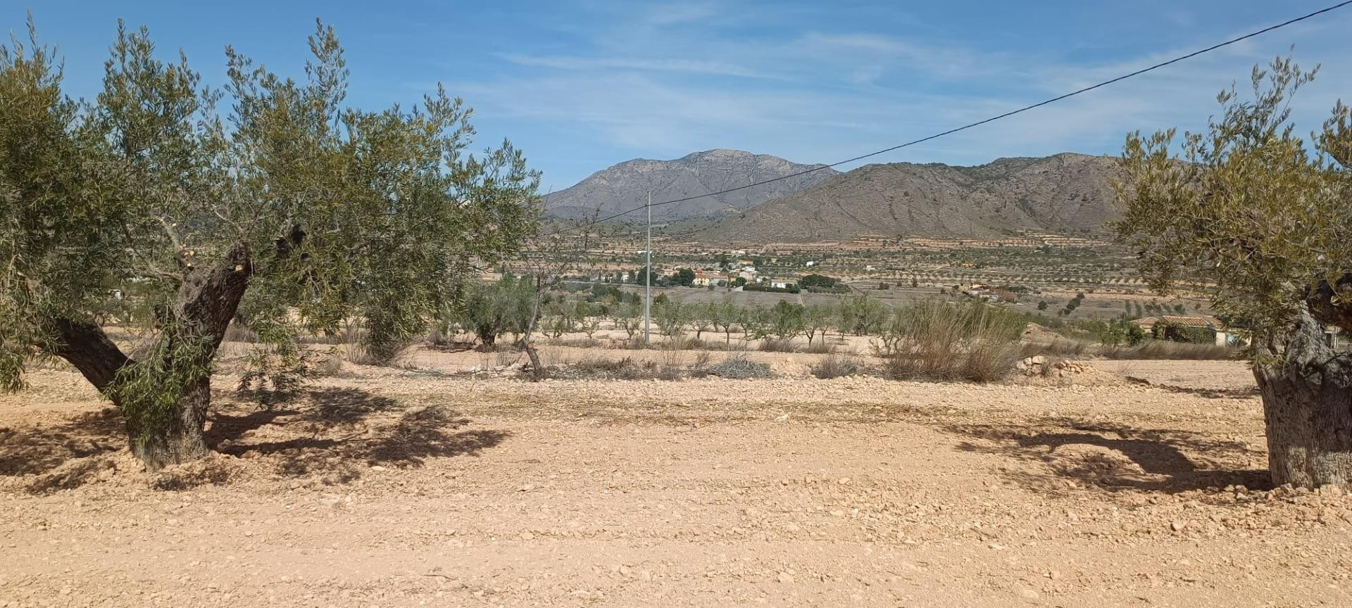 Casa cueva con terreno en Barbarroja - foto 3