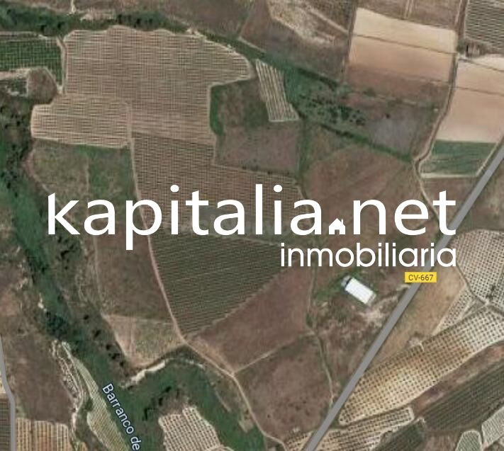 Nave en venta más 30.000m2 de parcela en Belgida - foto 2