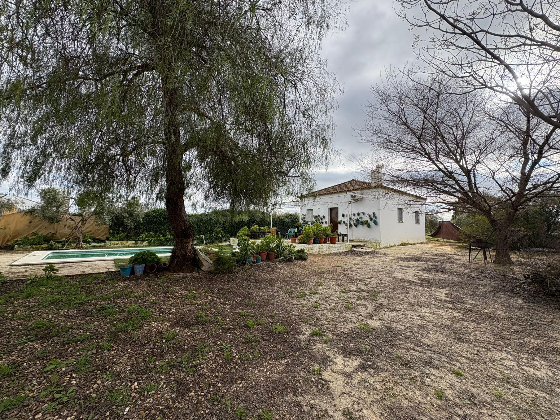 Encantador chalet REBAJADO de una sola planta con huerto y p