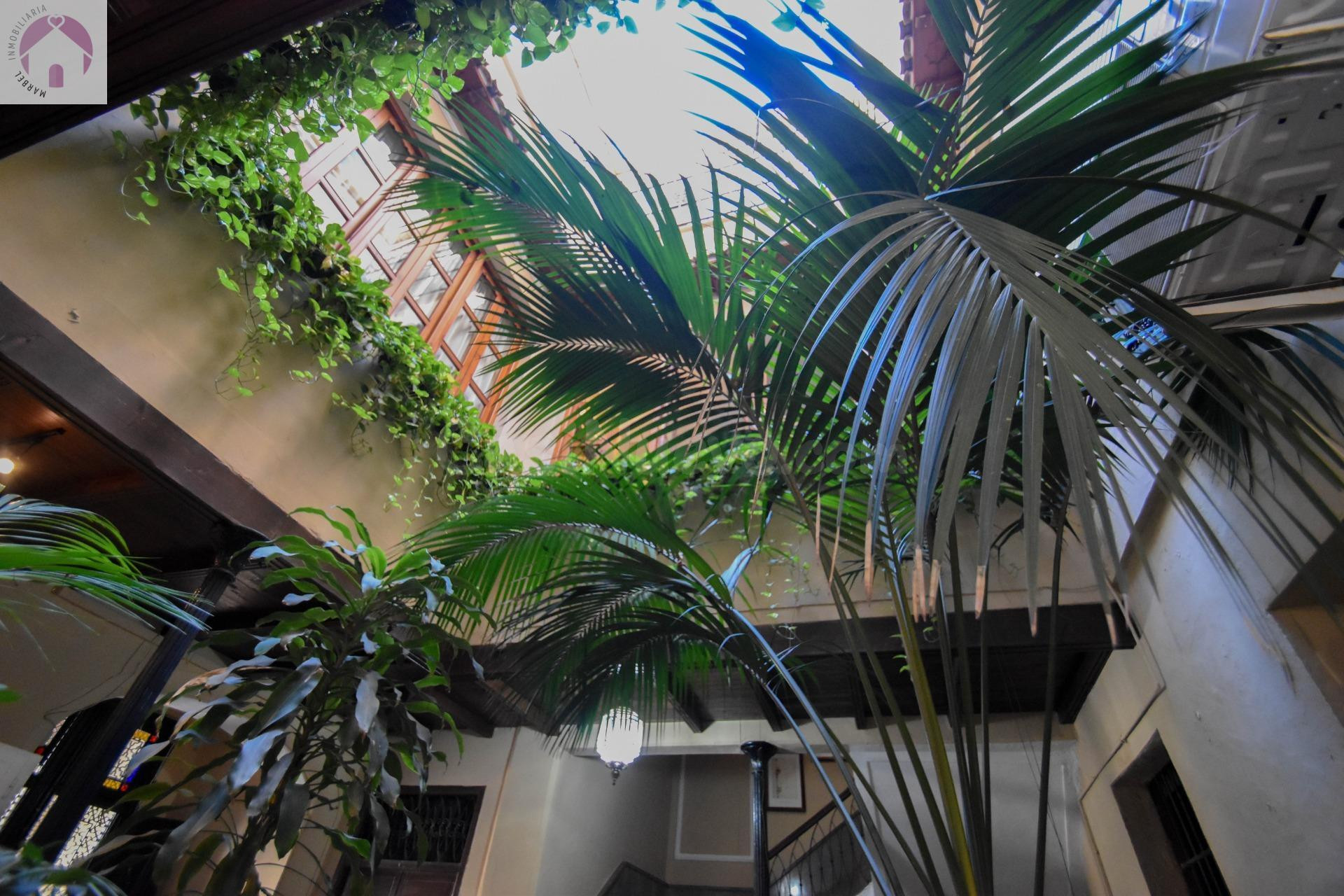 EDIFICIO CON VARIOS PISOS EN EL CENTRO DE ALMUÑECAR (IDEAL I - foto 2