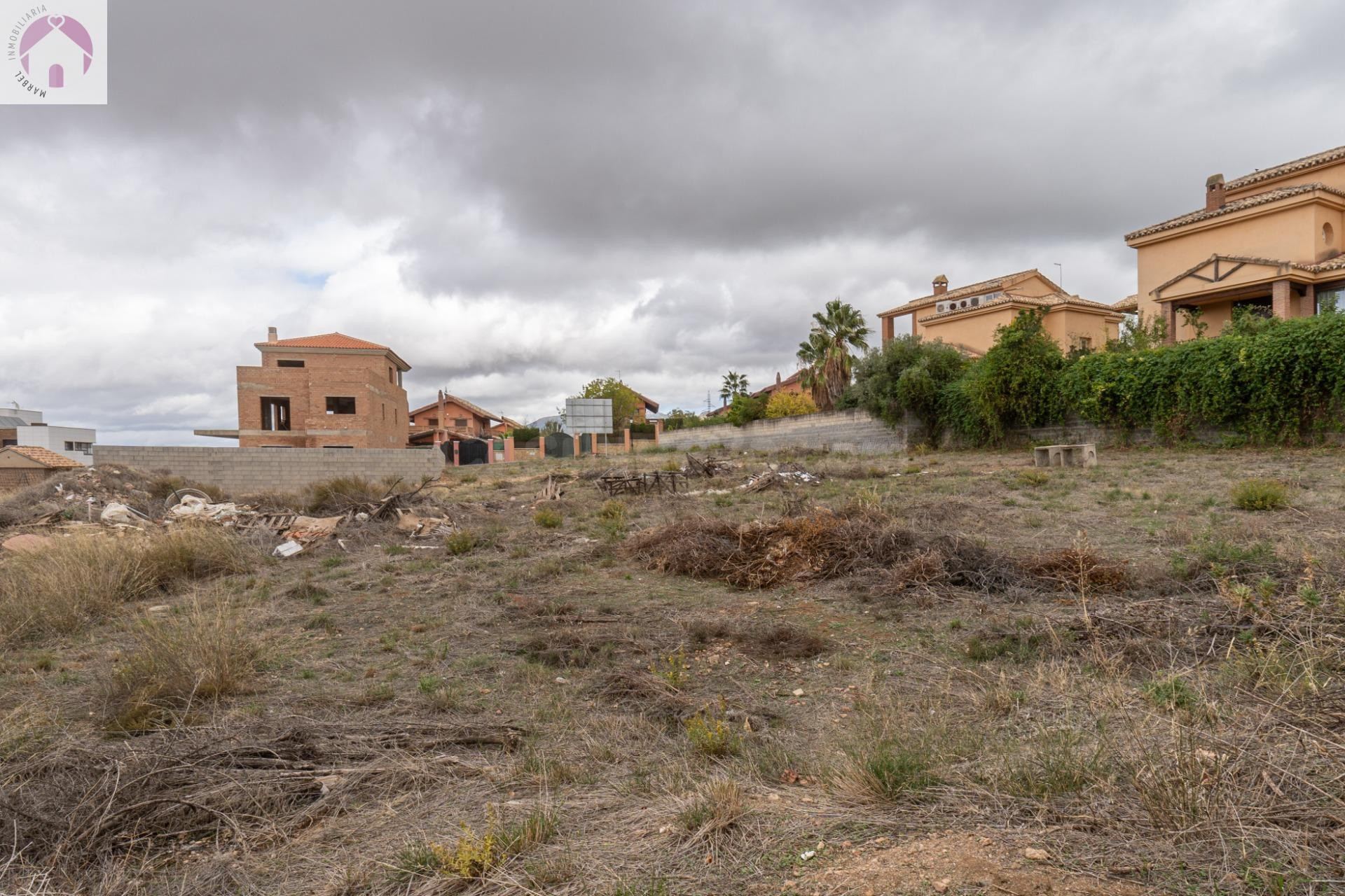 VENTA DE PARCELA EN LA URBANIZACIÓN CAÑADAS DEL PARQUE - foto 5