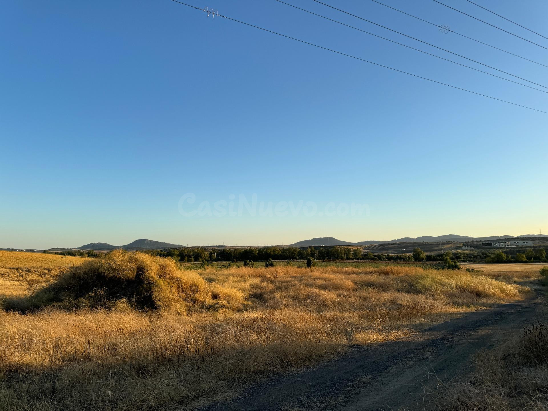 CASABANCO VENDE FINCA RÚSTICA PRÓXIMA A MÉRIDA. - foto 5
