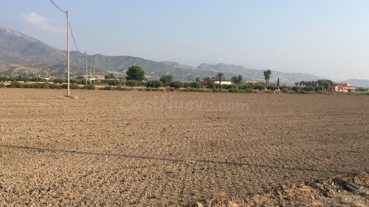SE VENDE PARCELA 5000 mt2 URBANA EN LA HOYA-LORCA CON LUZ