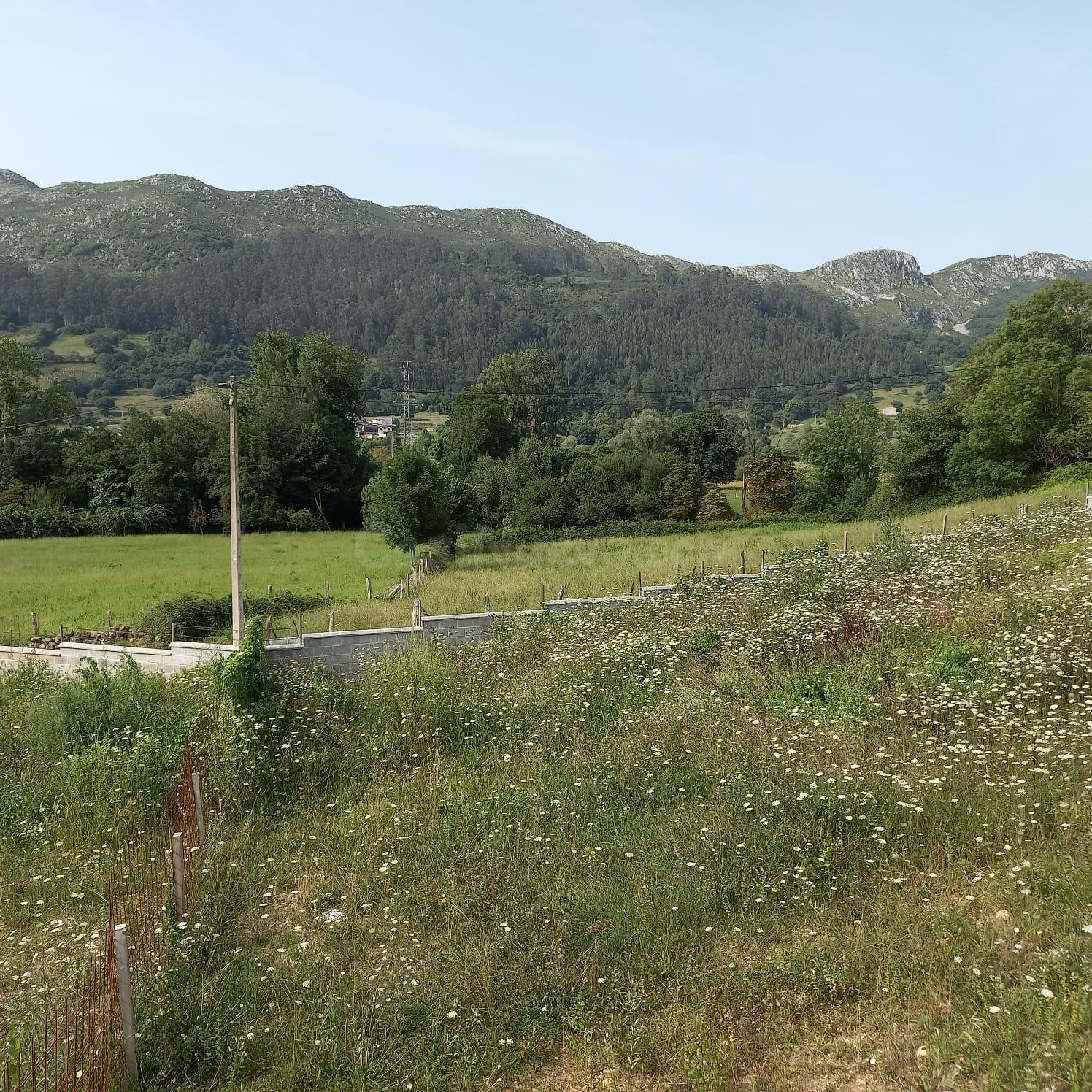 Finca urbana con proyecto de vivienda en Sopenilla, San Felices de Buelna