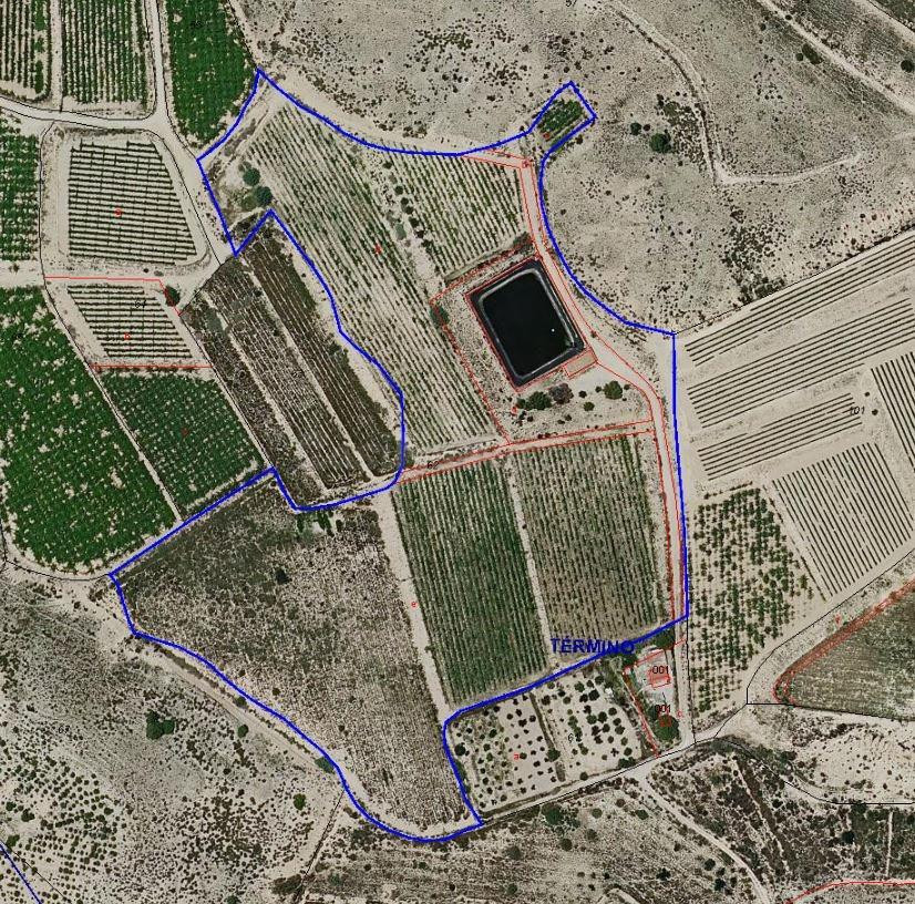 FINCA CON NAVE Y BALSA IDEAL PARA PLANTACIONES