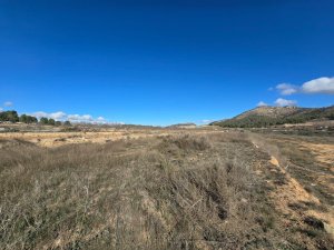 TERRENO RURAL EN VENTA EN LA ROMANETA (MONÓVAR) - foto 4