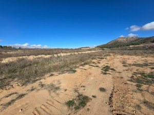 TERRENO RURAL EN VENTA EN LA ROMANETA (MONÓVAR) - foto 5