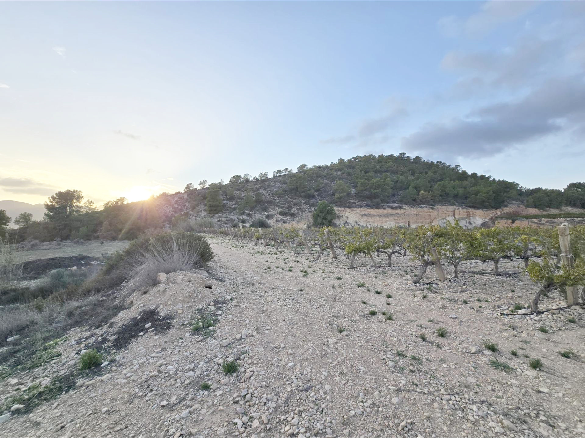 Terreno en La Romana - foto 2