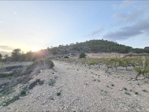Terreno en La Romana - foto 5