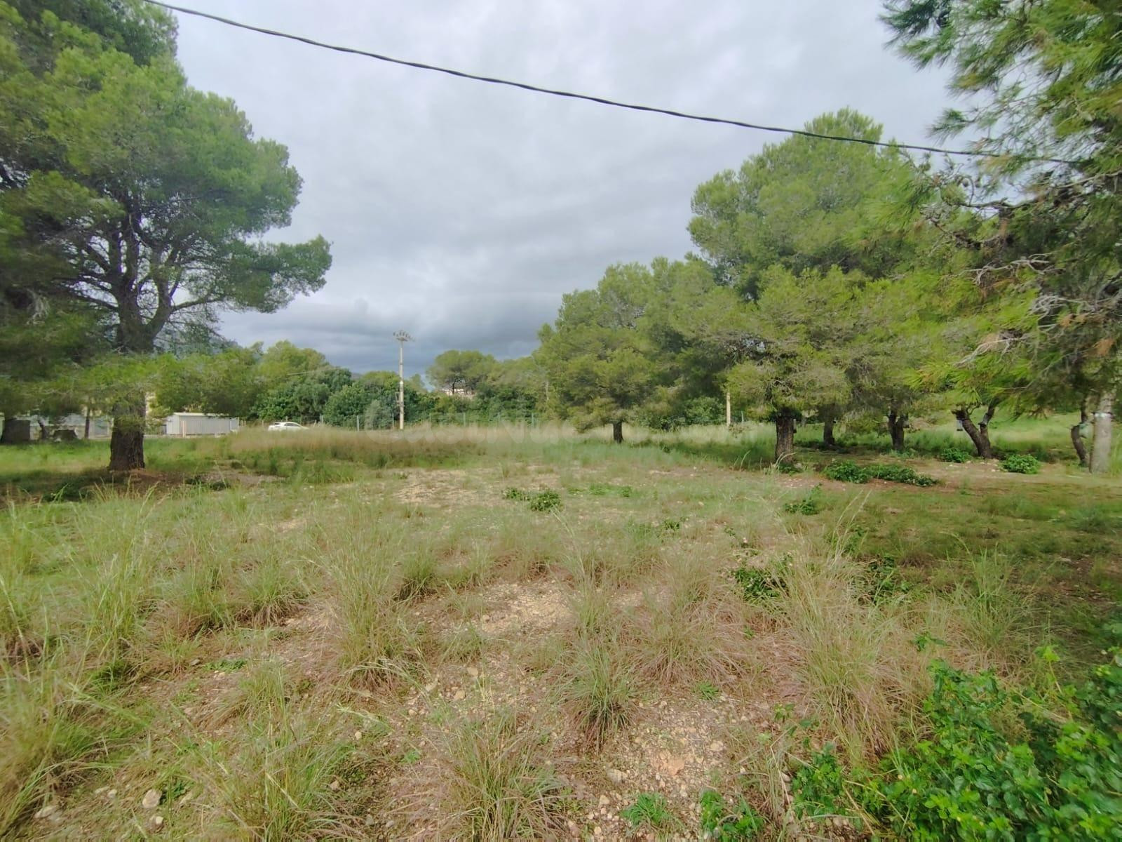 TERRENO EN MIAMI  PARA CONSTRUIR.