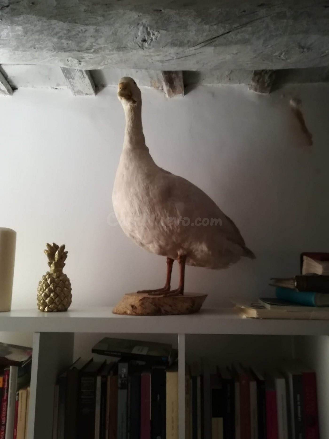 Romántica casa de pueblo - foto 5