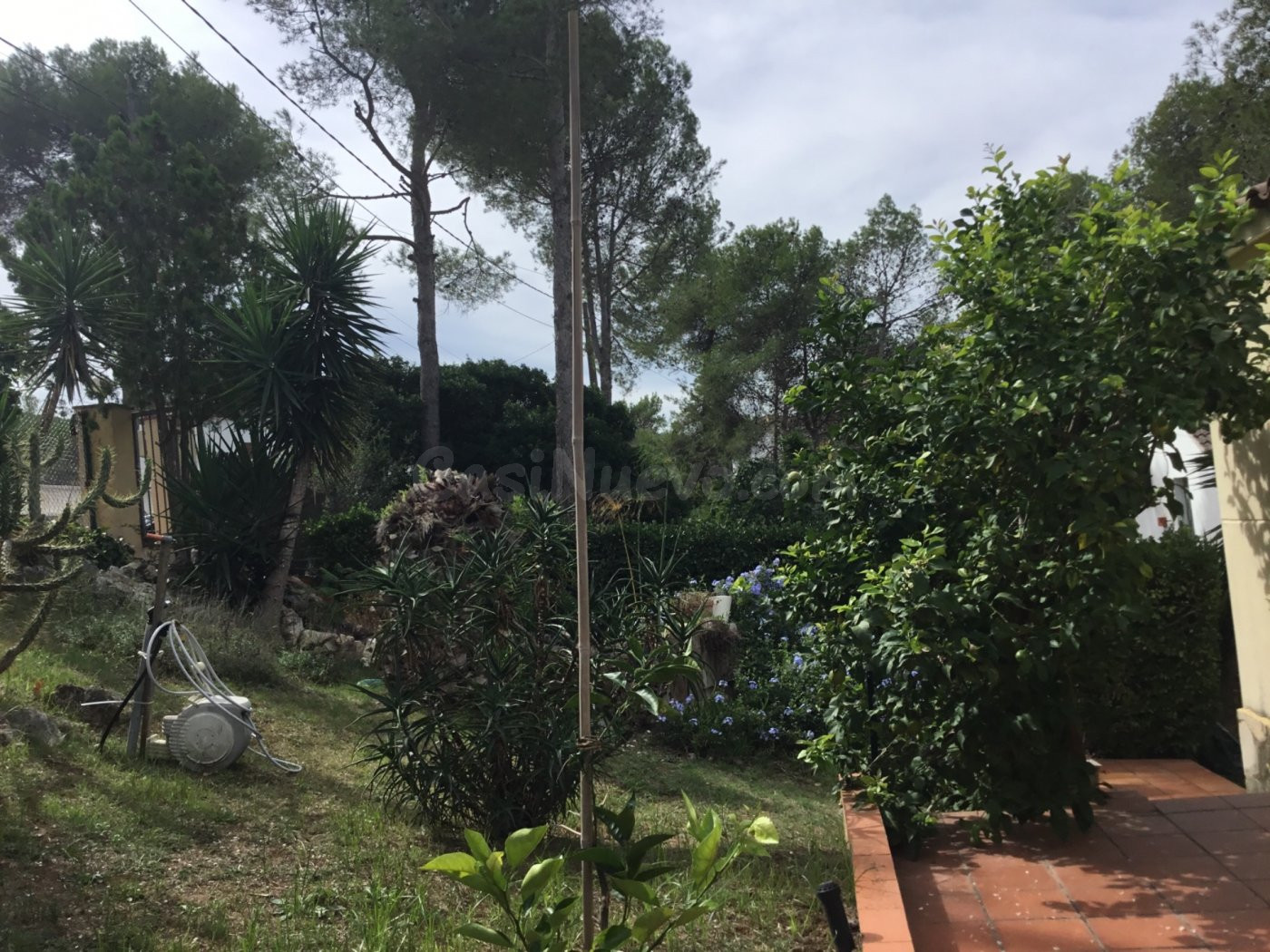 Dos viviendas con encanto y gran jardin a pocos minutos de centro urbano - foto 4