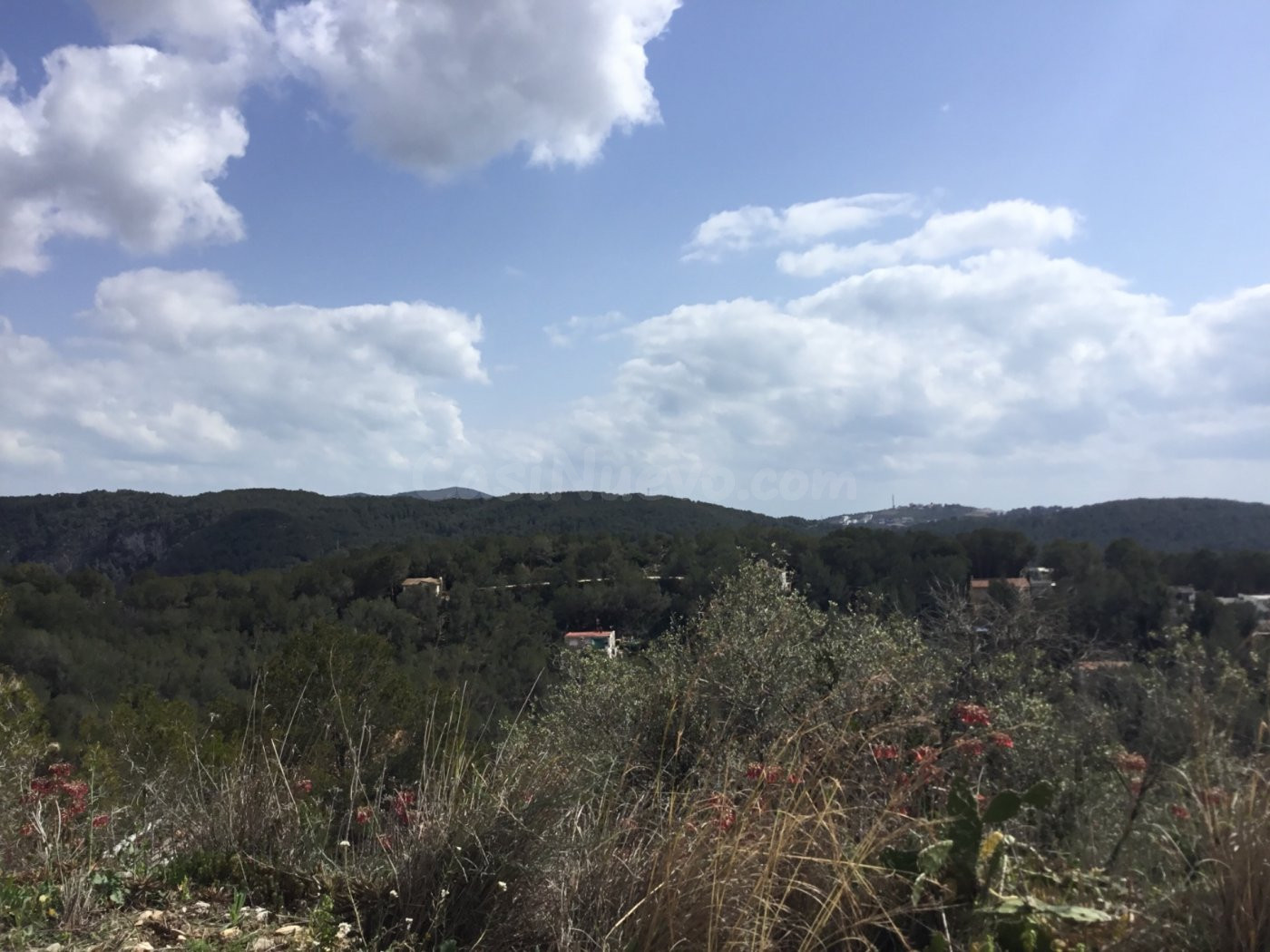 GRAN TERRENO rustico CON DIFERENTES PARCELAS - foto 4