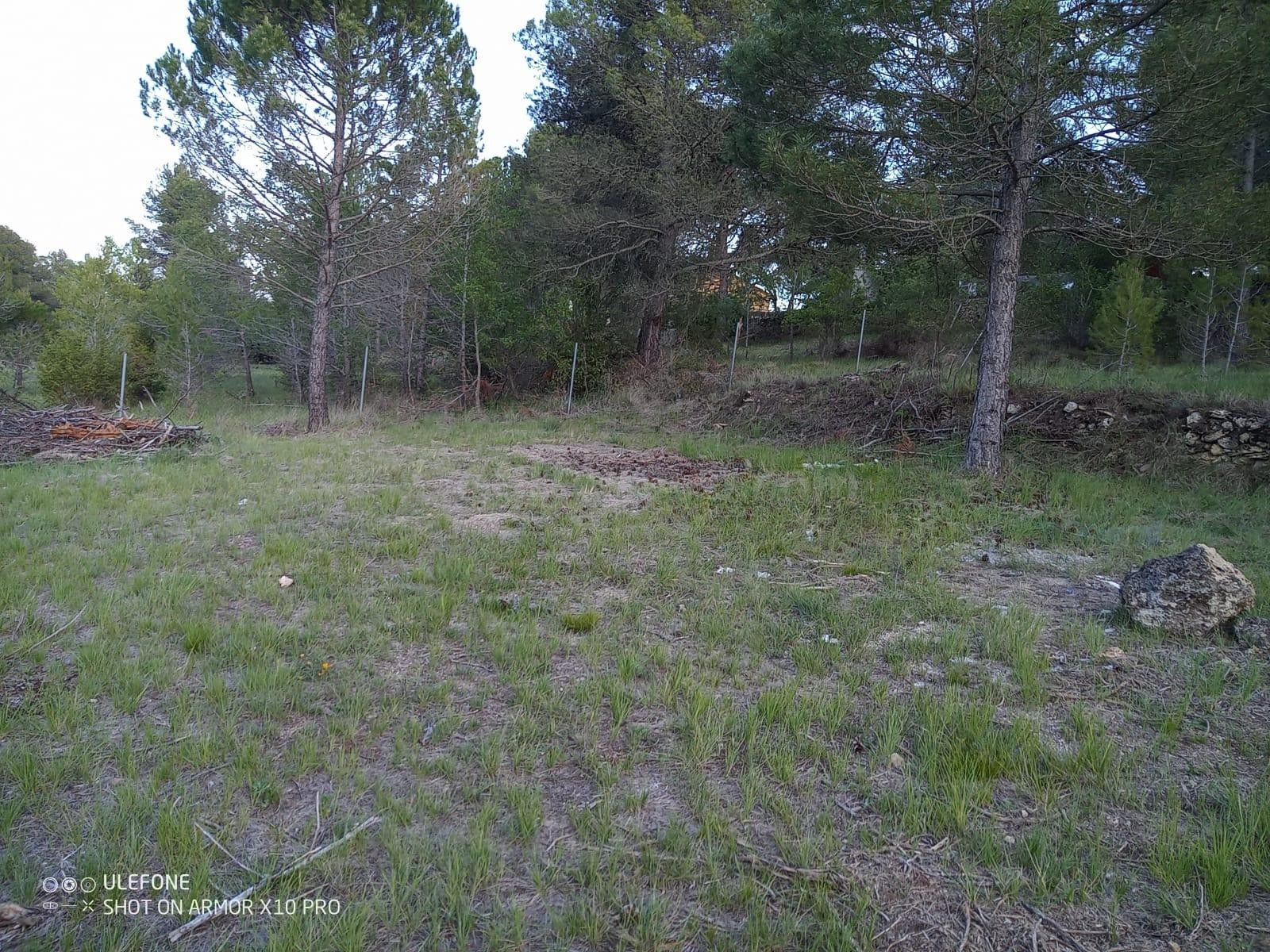 Terreno plano en urbanizacion