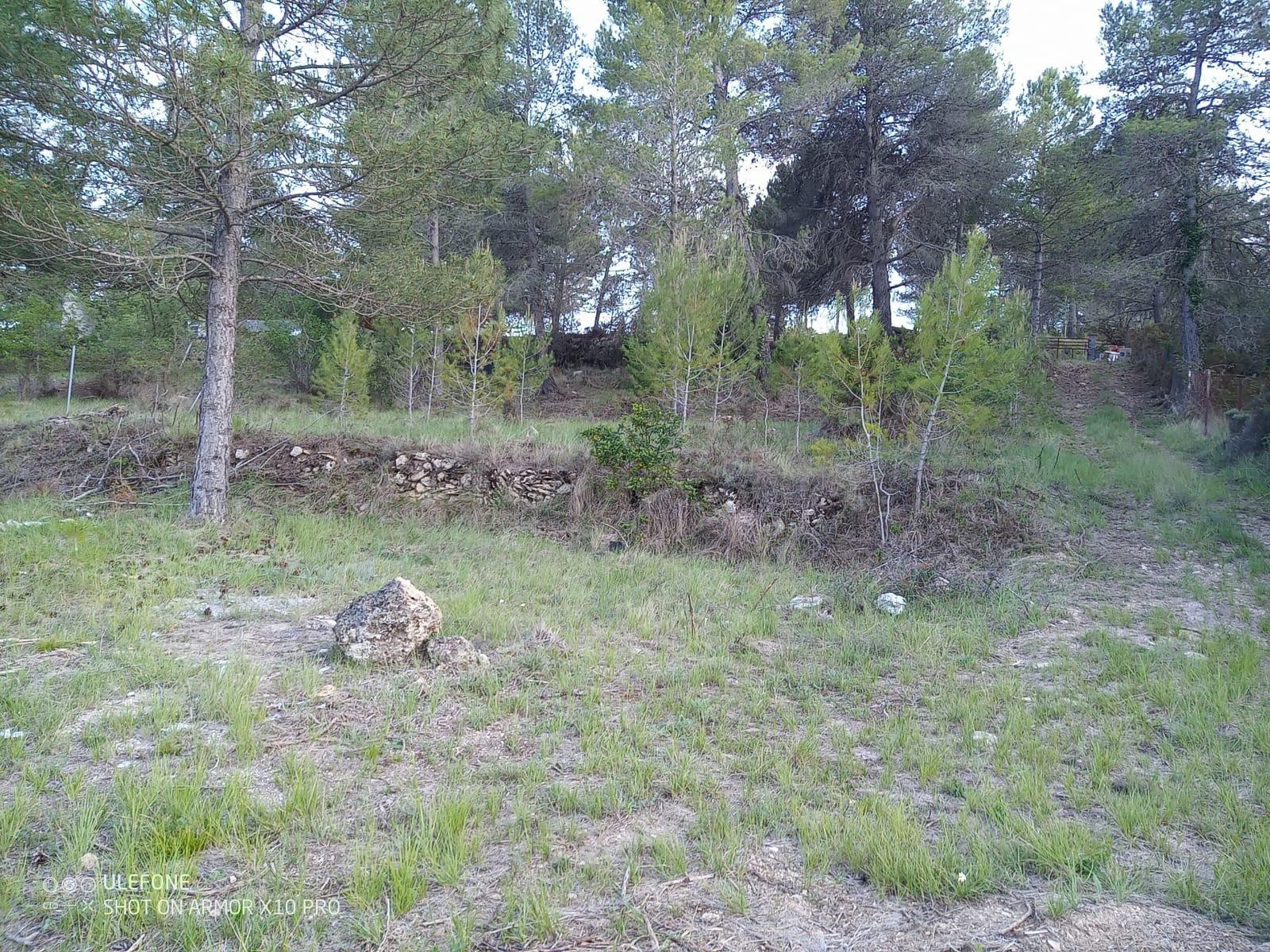 Terreno plano en urbanizacion - foto 2