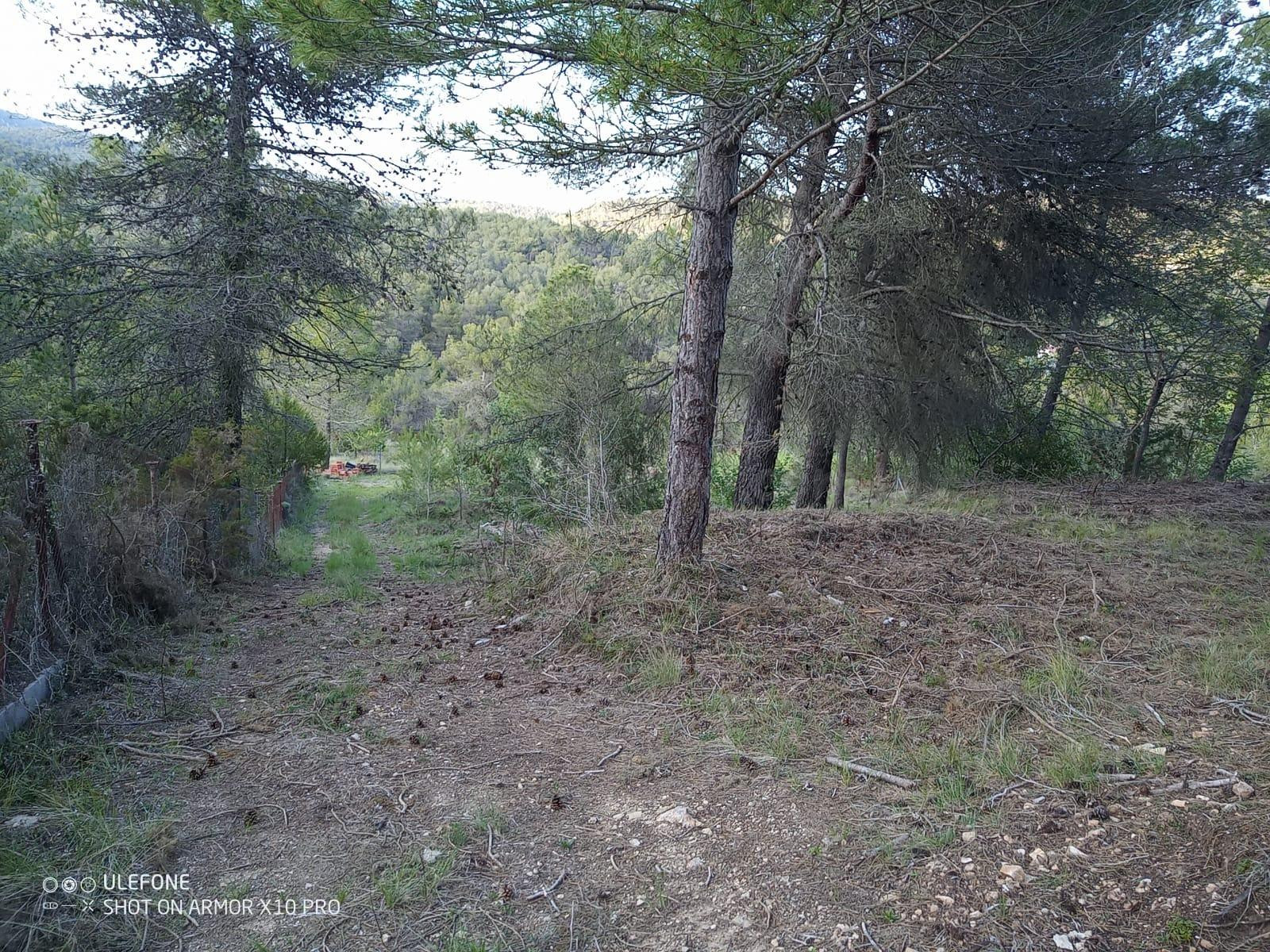 Terreno plano en urbanizacion - foto 3