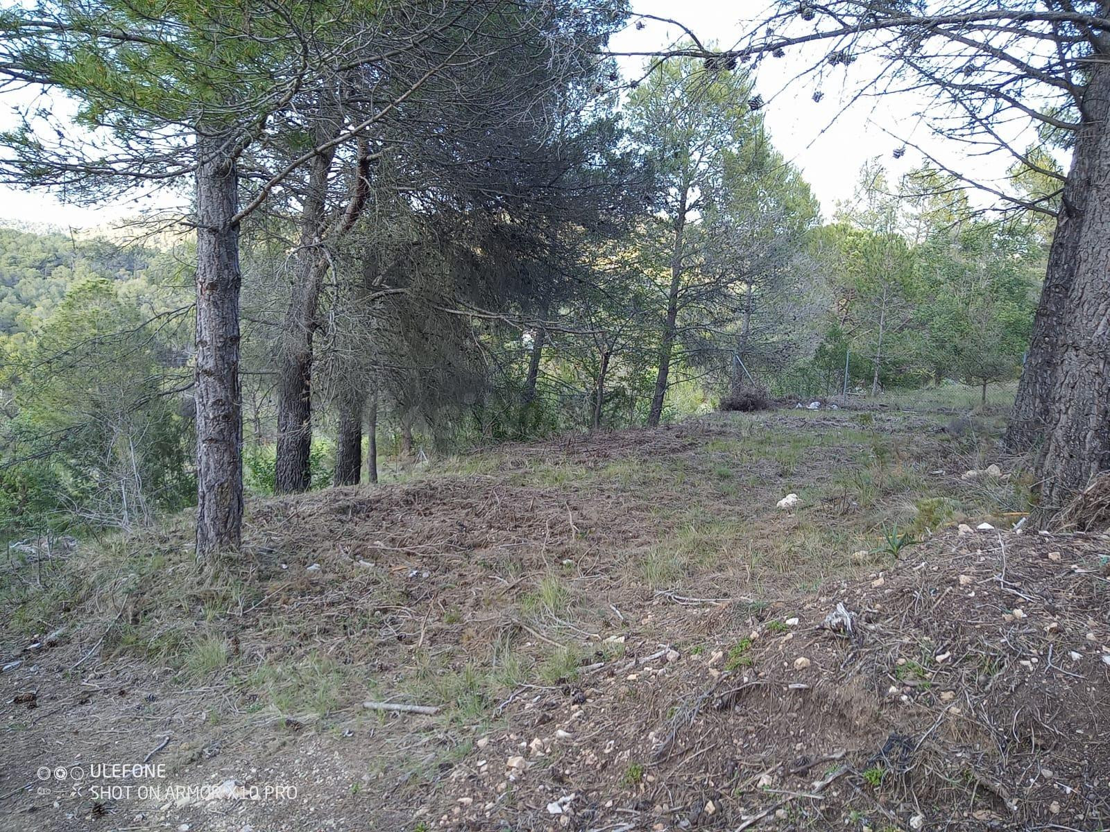 Terreno plano en urbanizacion - foto 4