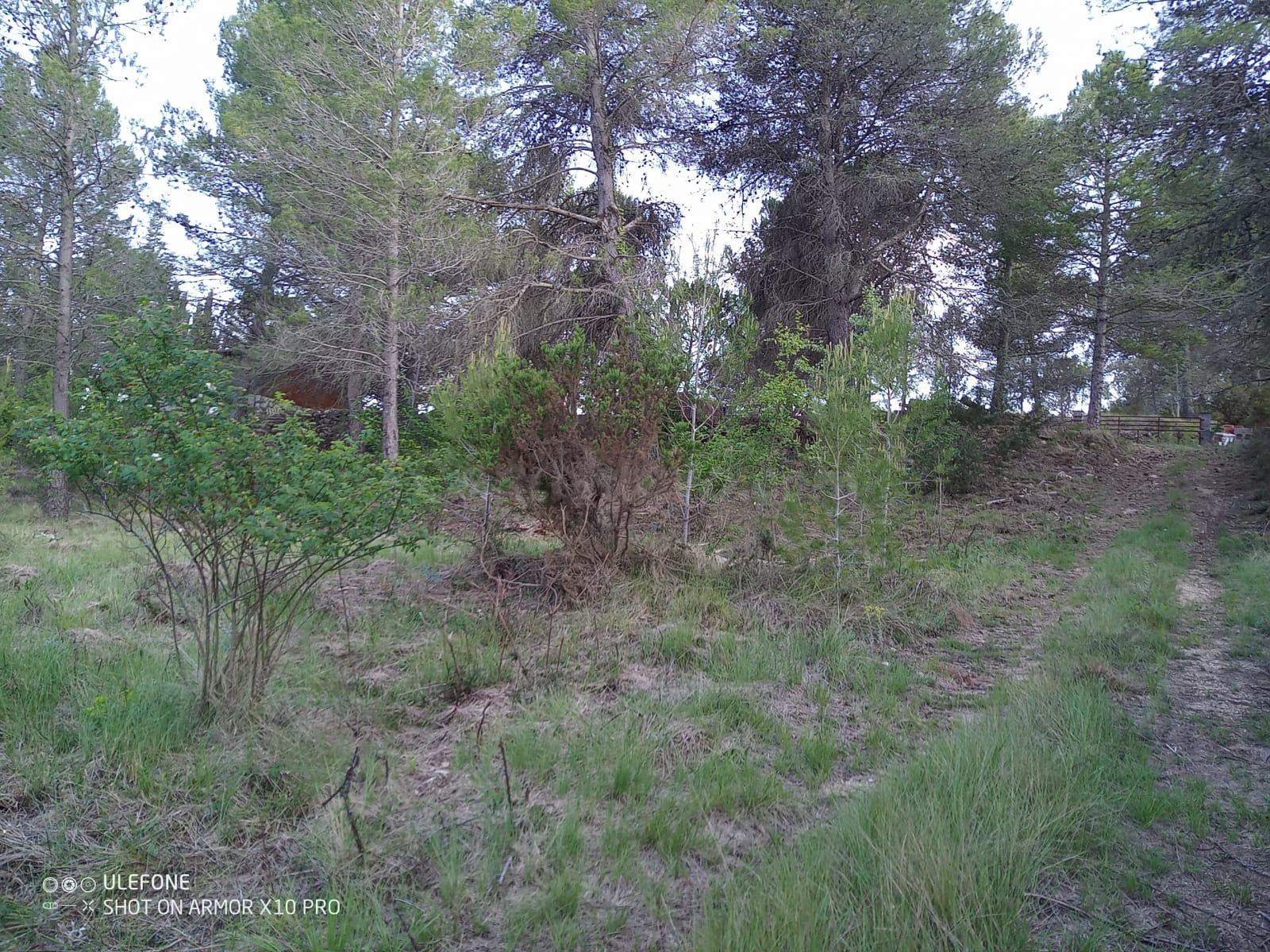Terreno plano en urbanizacion - foto 5