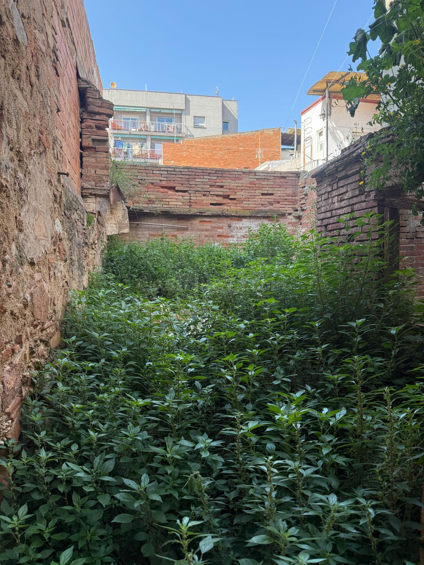 EIXAMPLE - ¡¡¡CASA PARA REFORMAR UBICADA EN UN ENTORNO INMEJ - foto 4