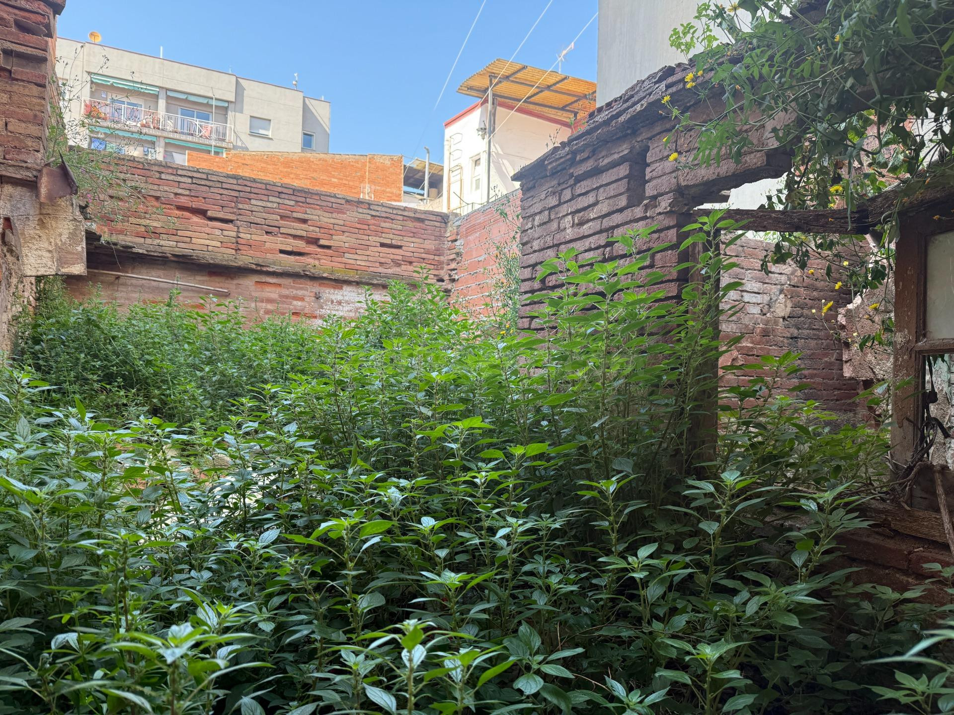 EIXAMPLE - ¡¡¡CASA PARA REFORMAR UBICADA EN UN ENTORNO INMEJ - foto 5
