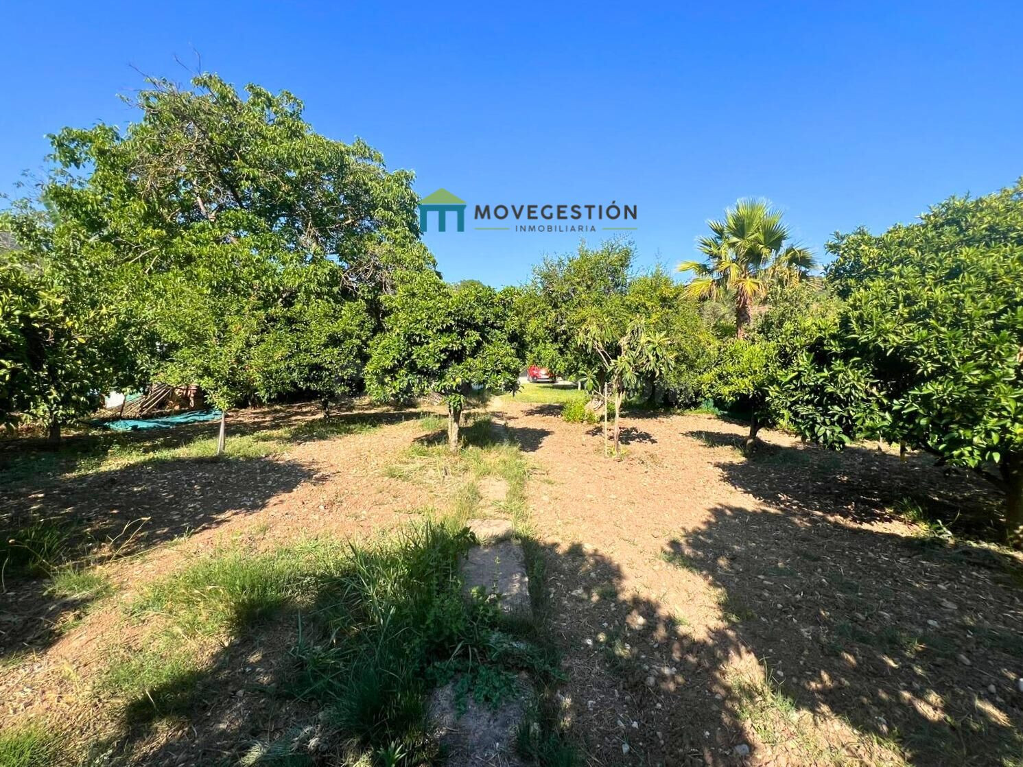 CASA DE CAMPO EN TAVIZNA -BENAOCAZ- - foto 2