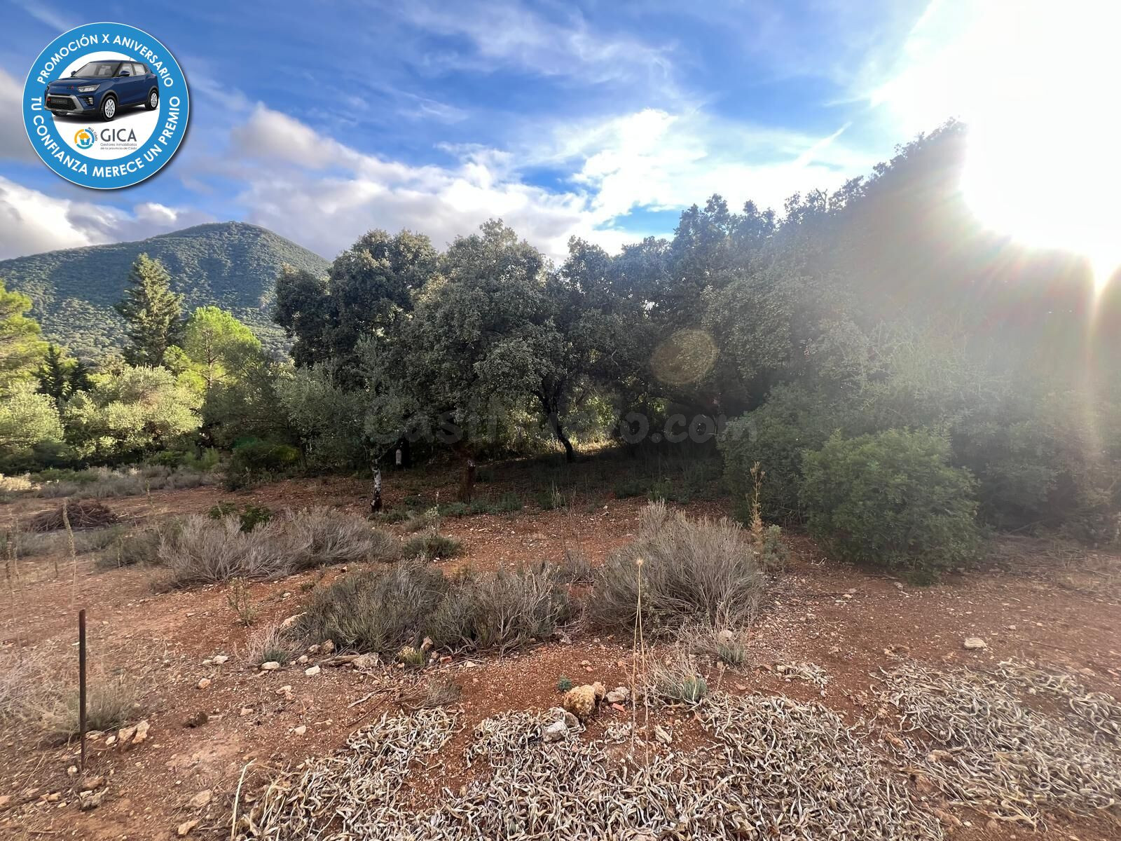 Terreno Rural en El Bosque 🌳 - foto 2