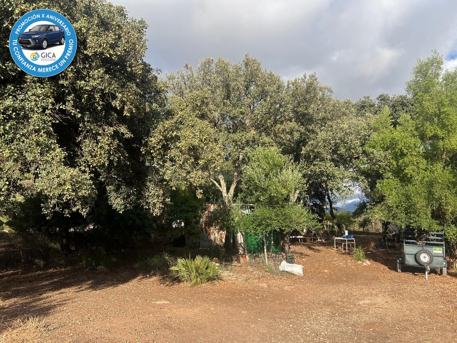 Terreno Rural en El Bosque 🌳 - foto 4