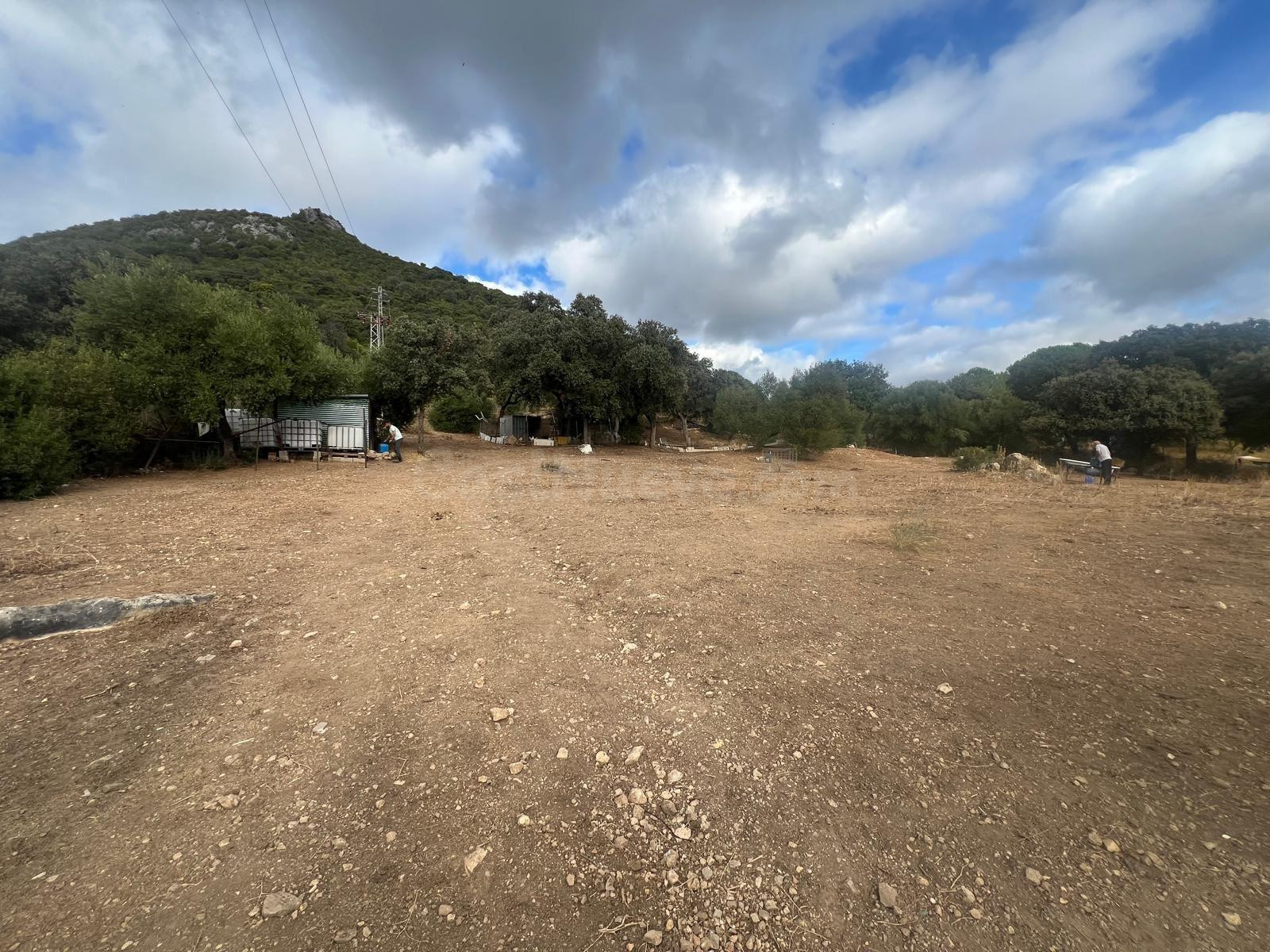 Terreno Rural en El Bosque 🌳✨ - foto 5