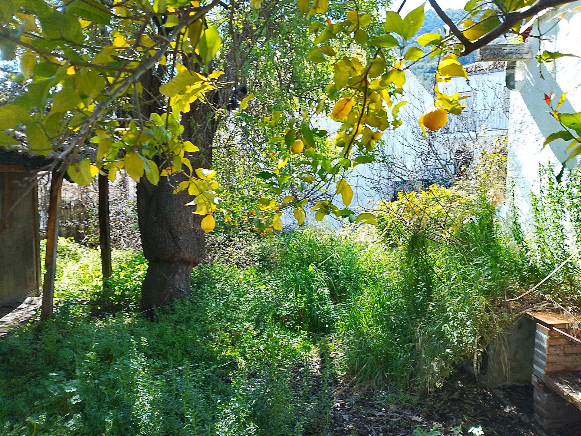Finca ideal para construir tu casa.