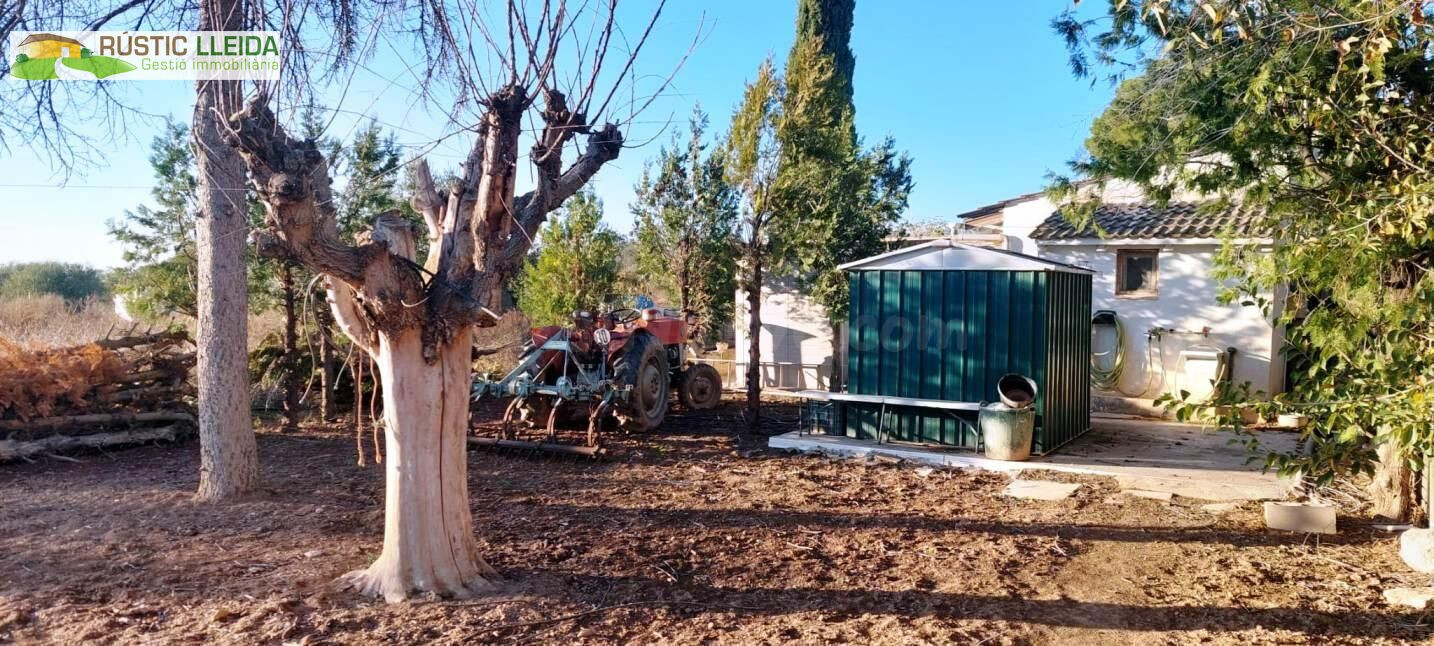 Finca de regadío con casita agrícola en los alrededores de Juneda.