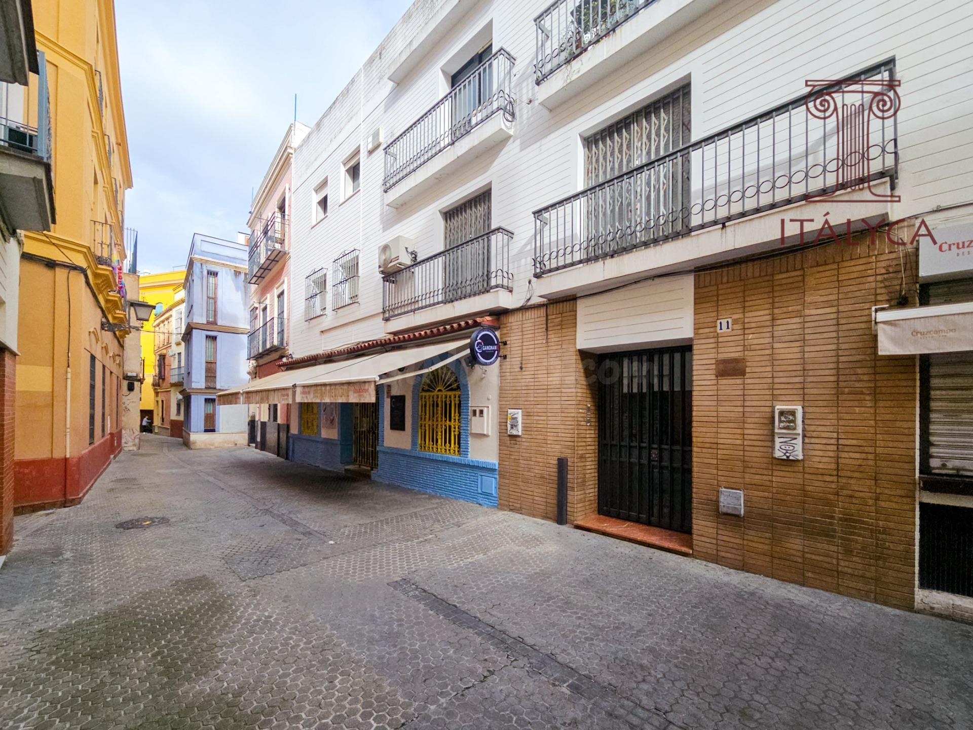Amplio piso familiar en Santa Catalina, junto a Ponce de Leó - foto 5