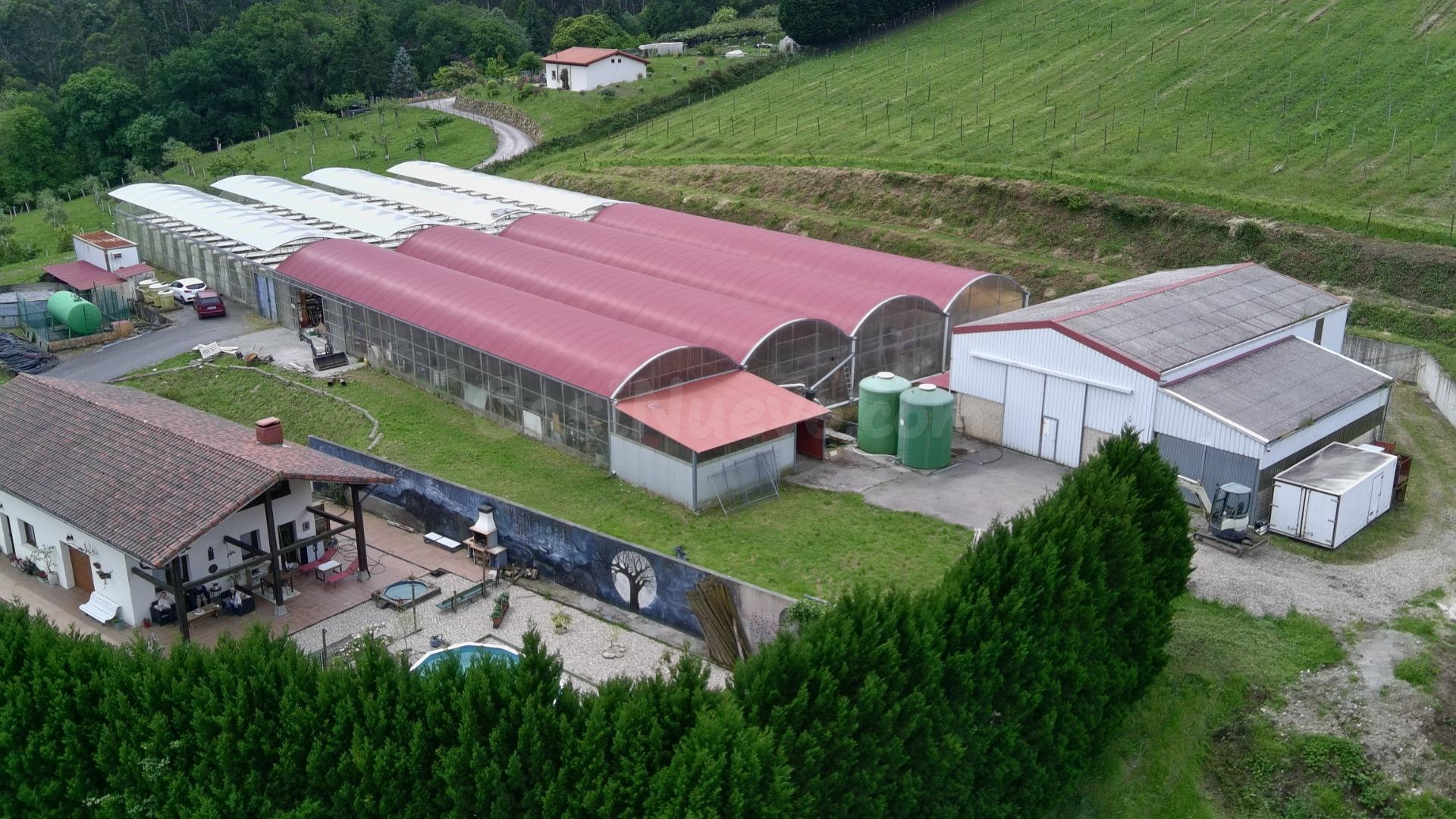 🌿 Exclusiva Explotación Agrícola en Venta – 15 Hectáreas de  - foto 3