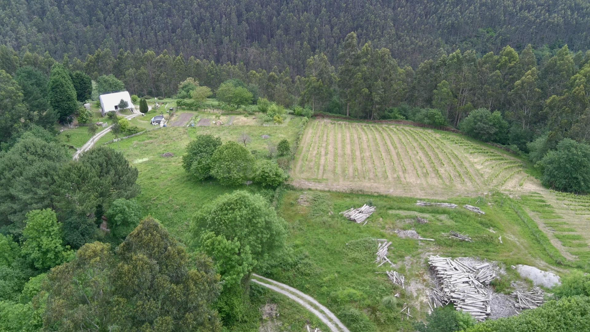 🌿 Exclusiva Explotación Agrícola en Venta – 15 Hectáreas de  - foto 4