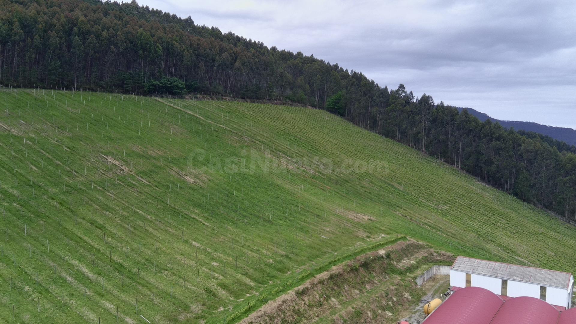 🌿 Exclusiva Explotación Agrícola en Venta – 15 Hectáreas de  - foto 5