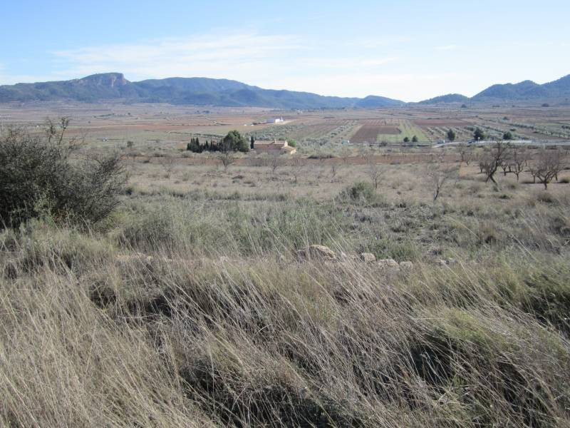 SE VENDE TERRENO EN MONOVAR - foto 2