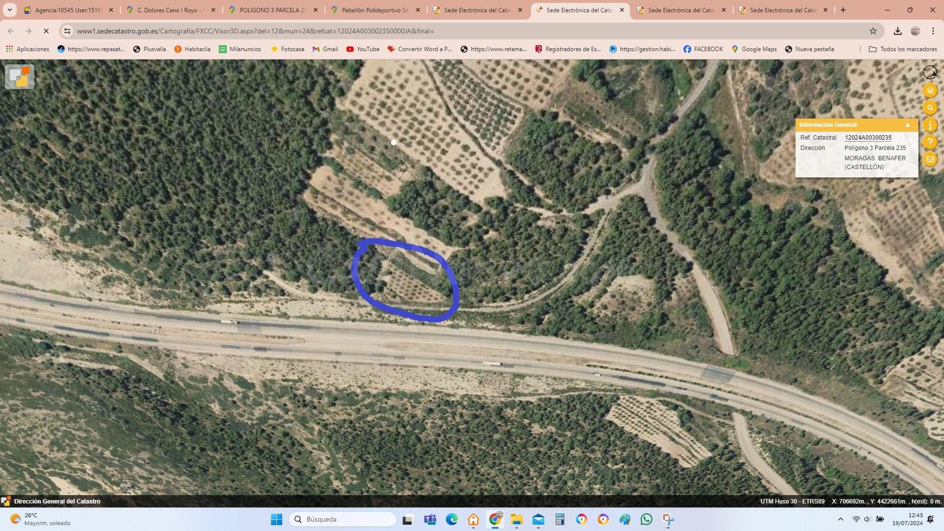 FINCA RUSTICA DE MATORRALES PARA VENDER
