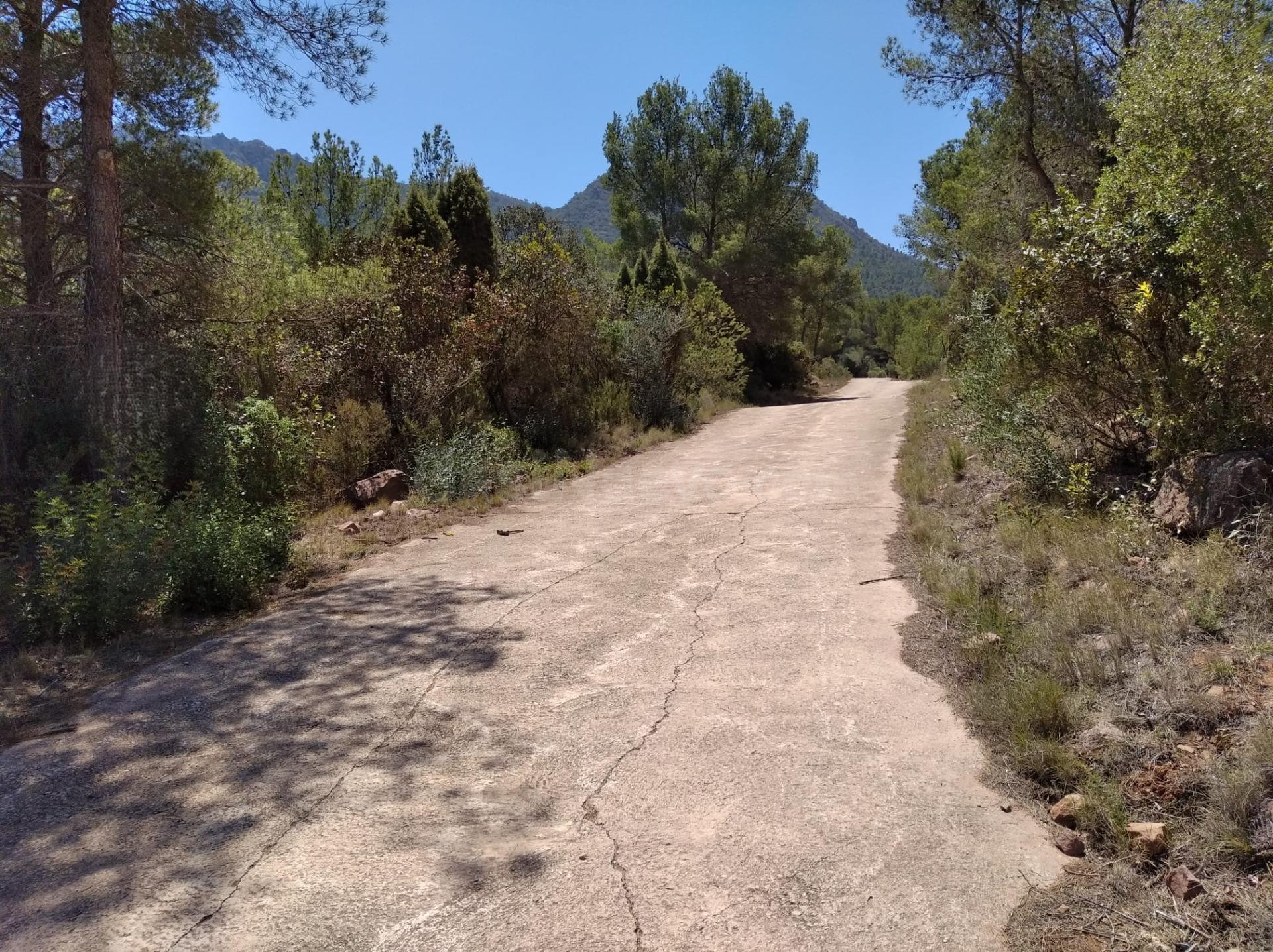 FINCA RUSTICA EN VILLAFAMES CON CASETA DE APEROS
