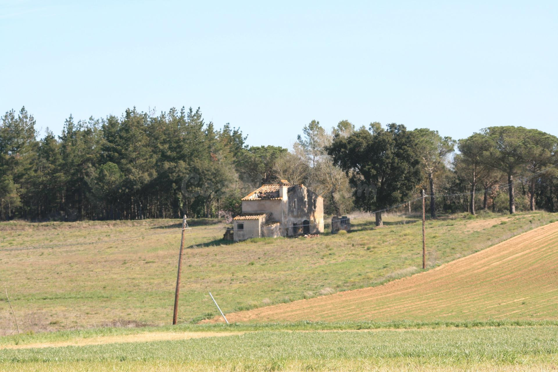 FINCA RÚSTICA A LA VENTA EN MAÇANET DE LA SELVA, PARCELA DE 