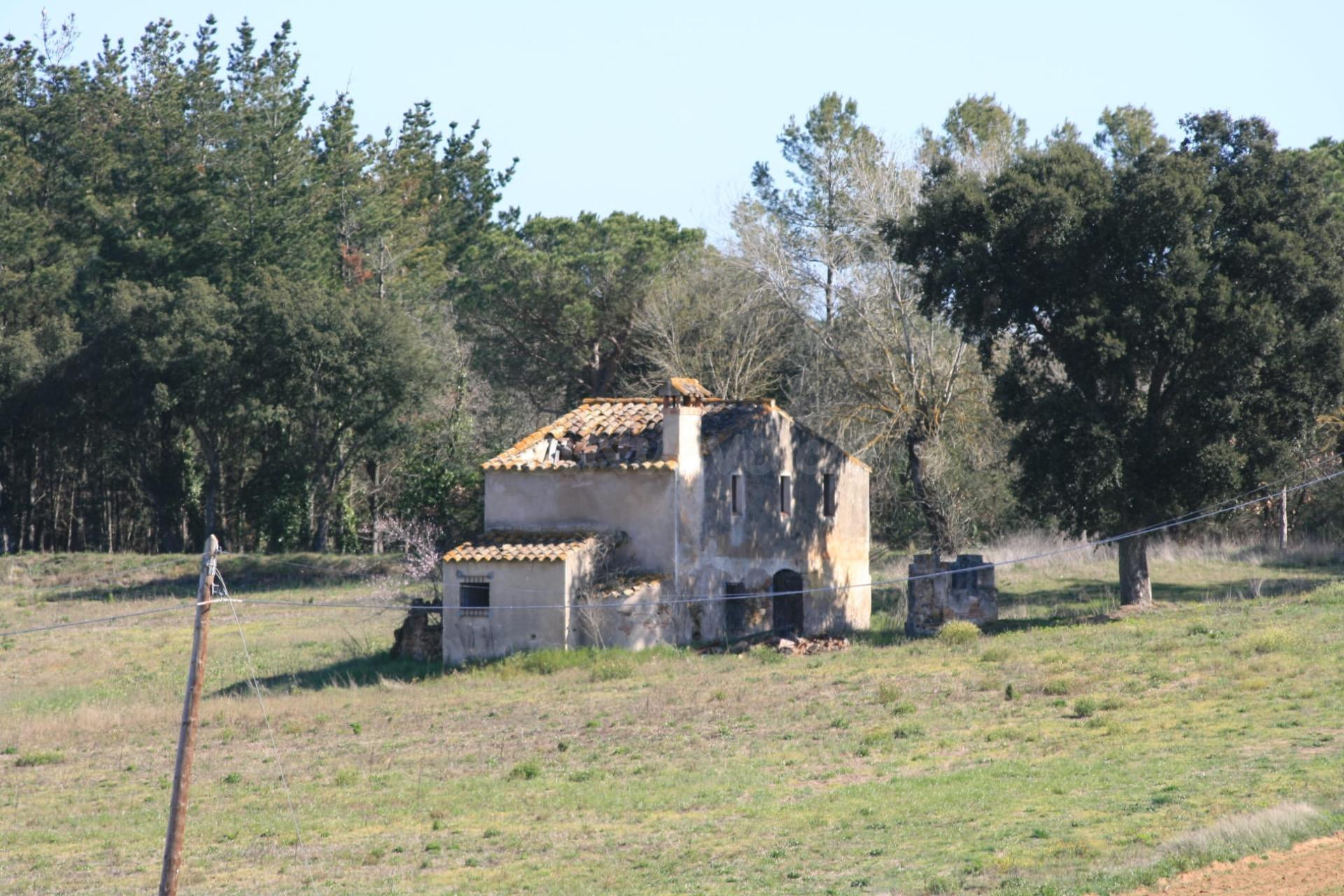 FINCA RÚSTICA A LA VENTA EN MAÇANET DE LA SELVA, PARCELA DE  - foto 2