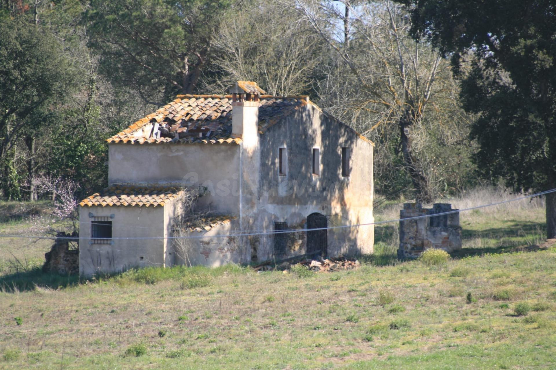 FINCA RÚSTICA A LA VENTA EN MAÇANET DE LA SELVA, PARCELA DE  - foto 3