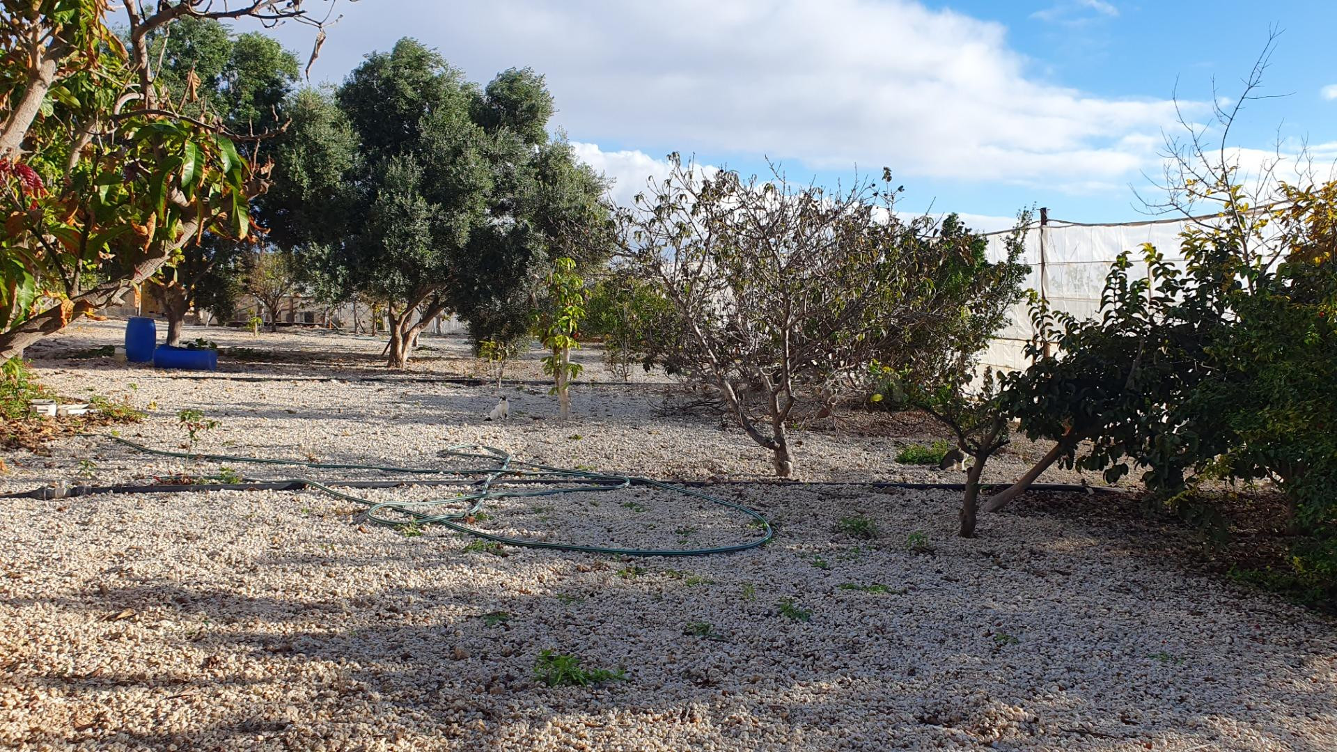FINCA RUSTICA PARA CULTIVO CON SALON Y ESTANQUE, PORIS DE AB - foto 2