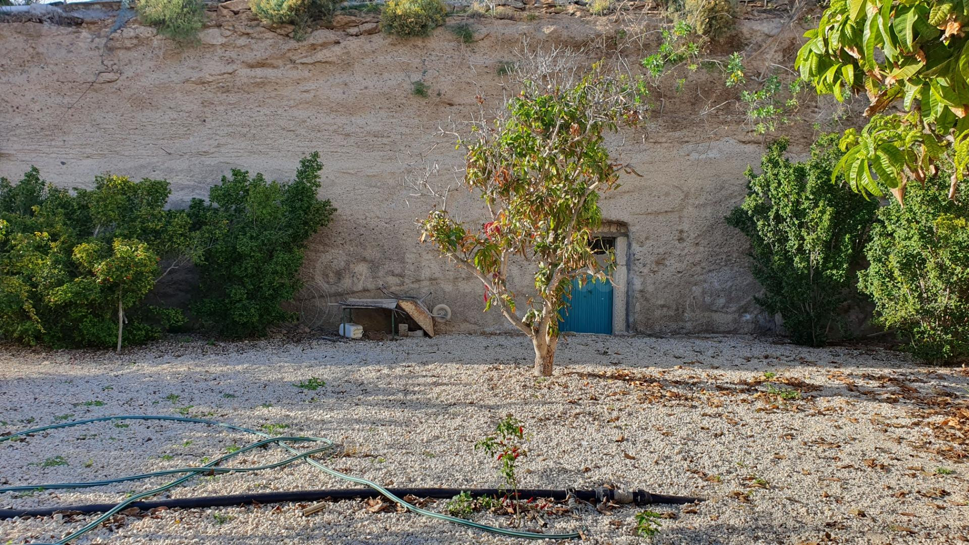 FINCA RUSTICA PARA CULTIVO CON SALON Y ESTANQUE, PORIS DE AB - foto 3