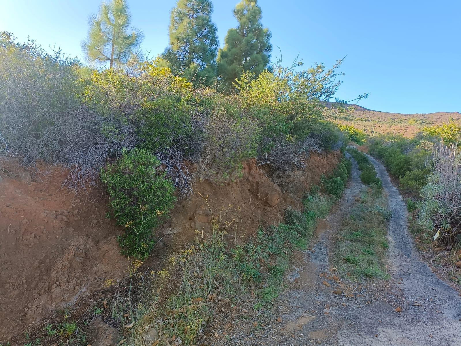 Terreno Rústico en el Encantador Paisaje de Siete Lomas, Arafo