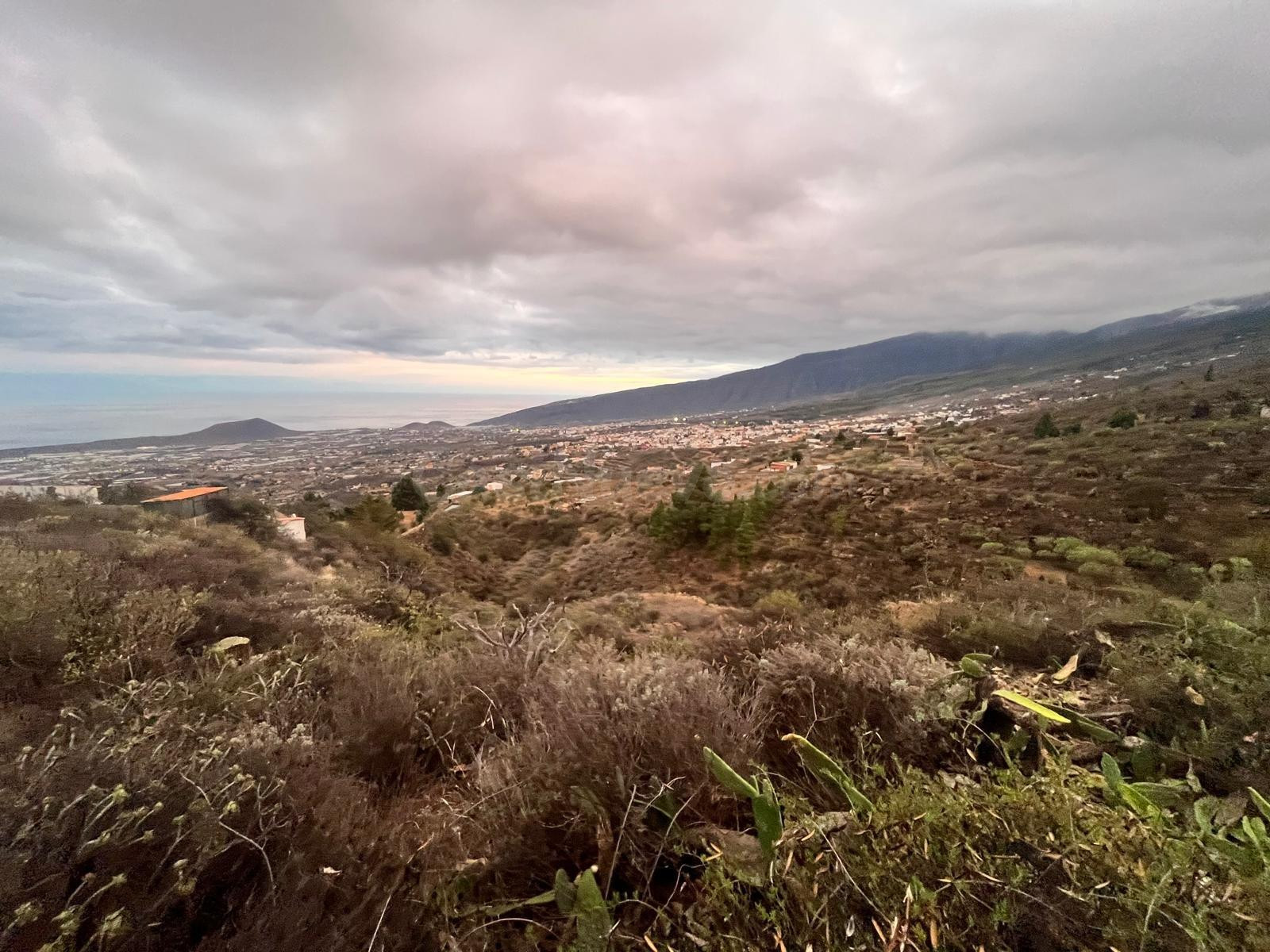 VENTA DE FINCA RÚSTICA DE 3419 MT2 EN ARAFO