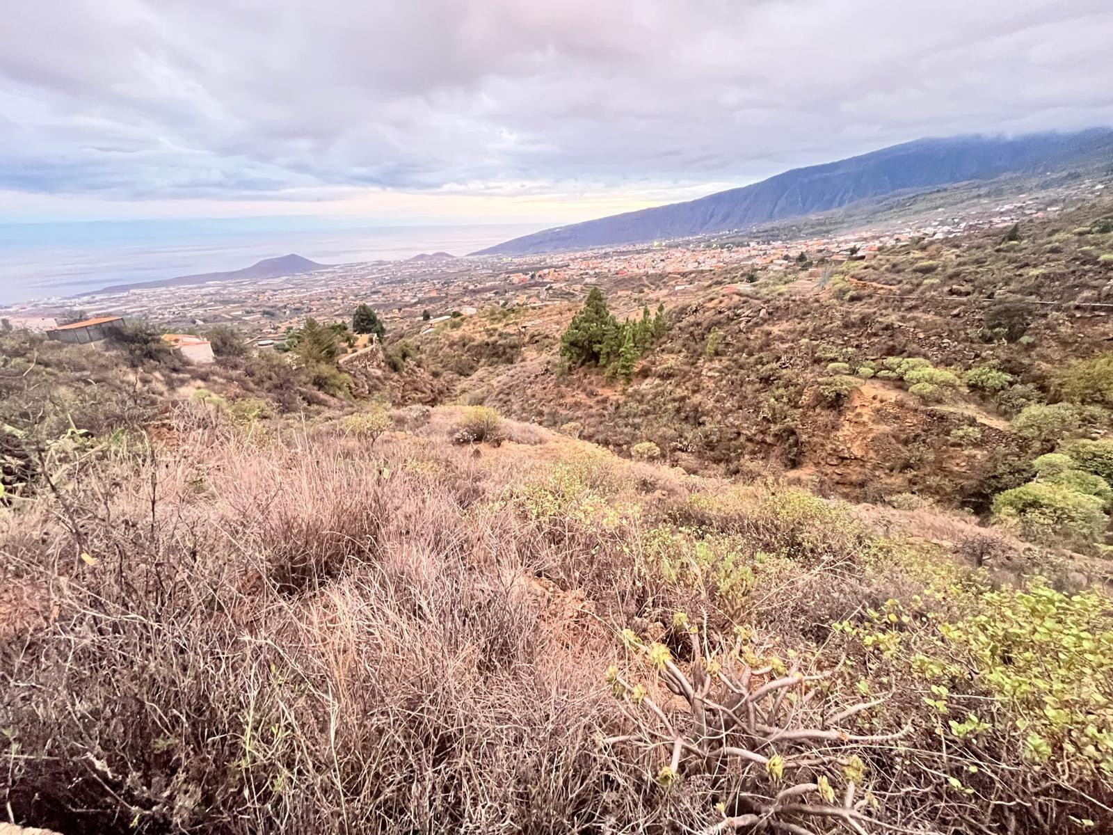 VENTA DE FINCA RÚSTICA DE 3419 MT2 EN ARAFO - foto 3