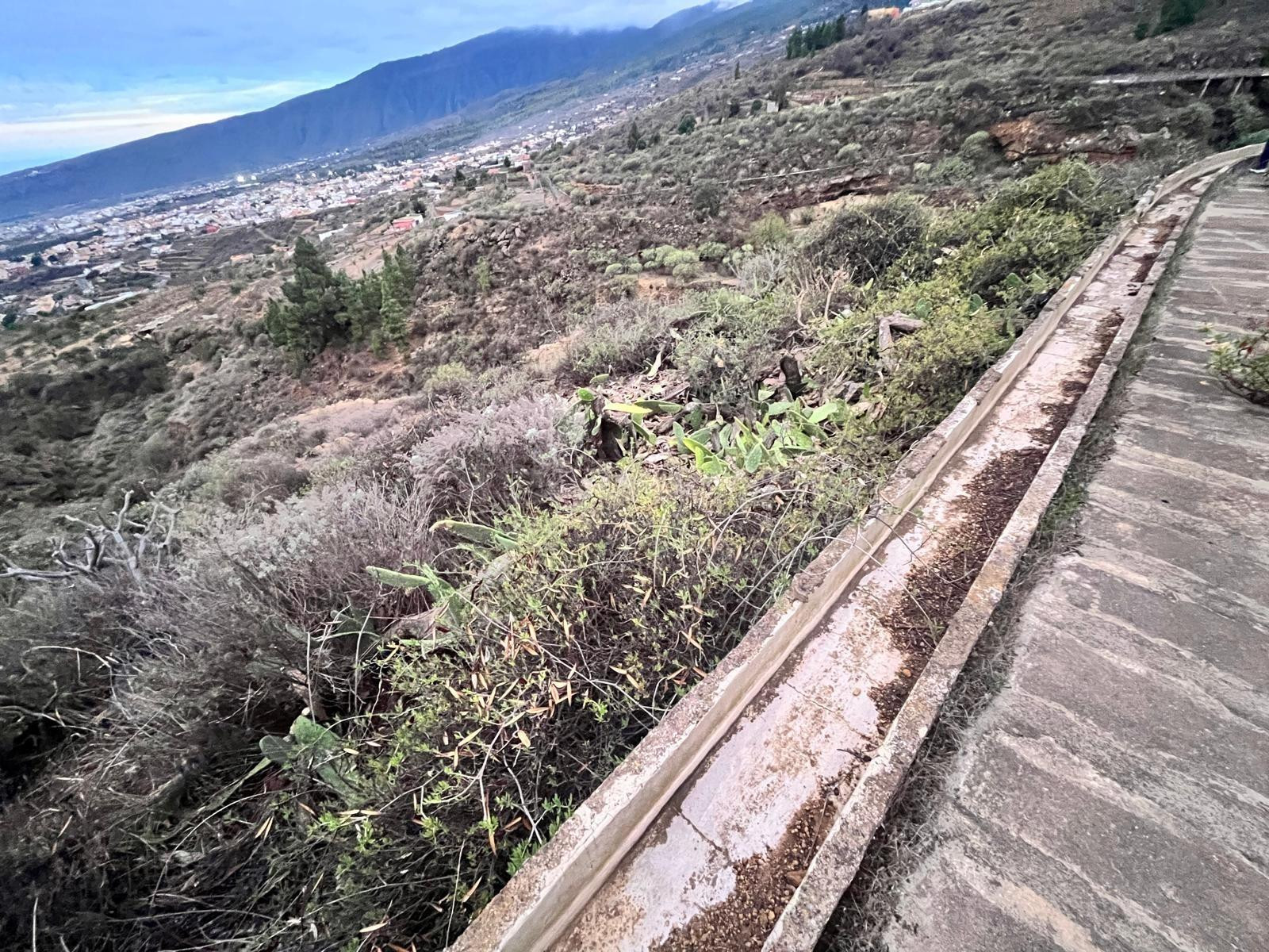 VENTA DE FINCA RÚSTICA DE 3419 MT2 EN ARAFO - foto 5