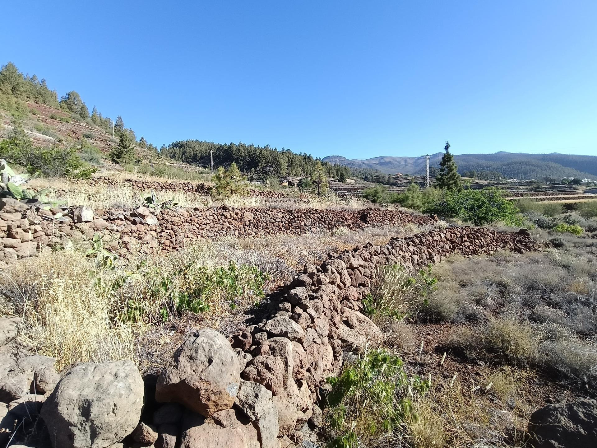 SE VENDE TERRENO RUSTICO EN VILAFLOR